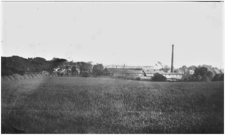 Photo of Touch Bleachworks viewed from the south