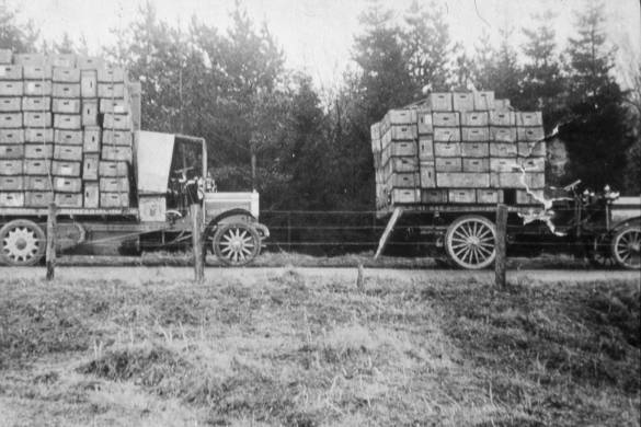 Early Gilbert Rae Lorries (Well Loaded With Empties)