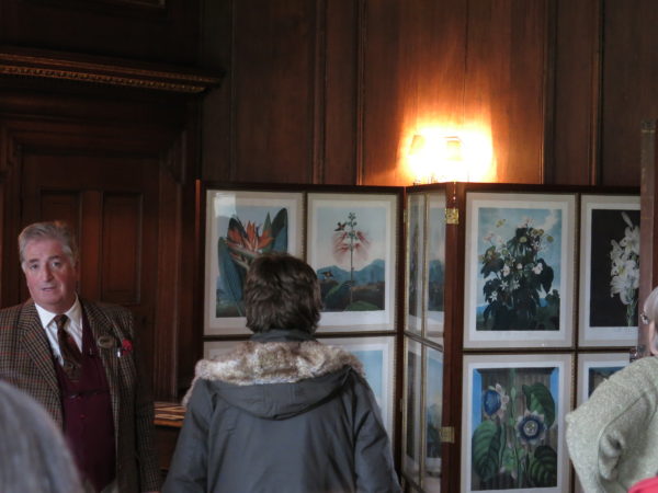 Botanical Prints