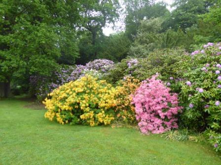 Photo of Floors Castle Gardens