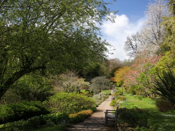 Photo of the Walled Garden at Wallington